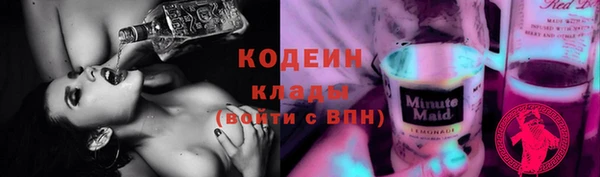 ГАЛЛЮЦИНОГЕННЫЕ ГРИБЫ Вязники