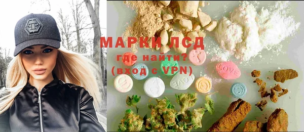 ГАЛЛЮЦИНОГЕННЫЕ ГРИБЫ Вязники