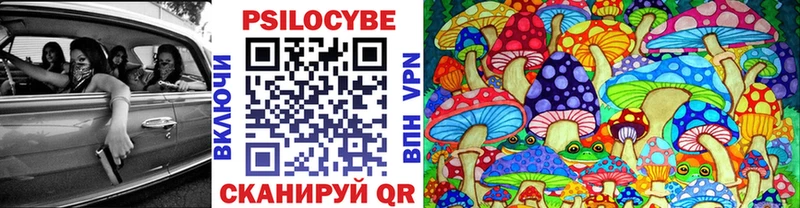 Псилоцибиновые грибы GOLDEN TEACHER как найти закладки Дно